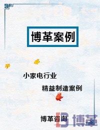 小家電行業精益制造案例